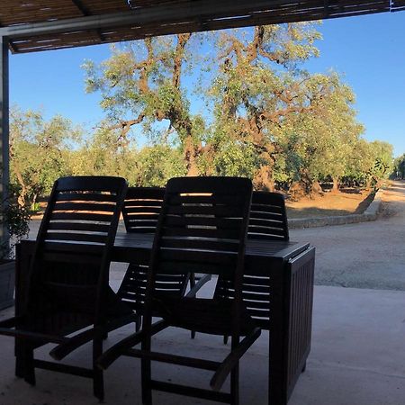 Da Annamare Villa Montalbano  Eksteriør billede