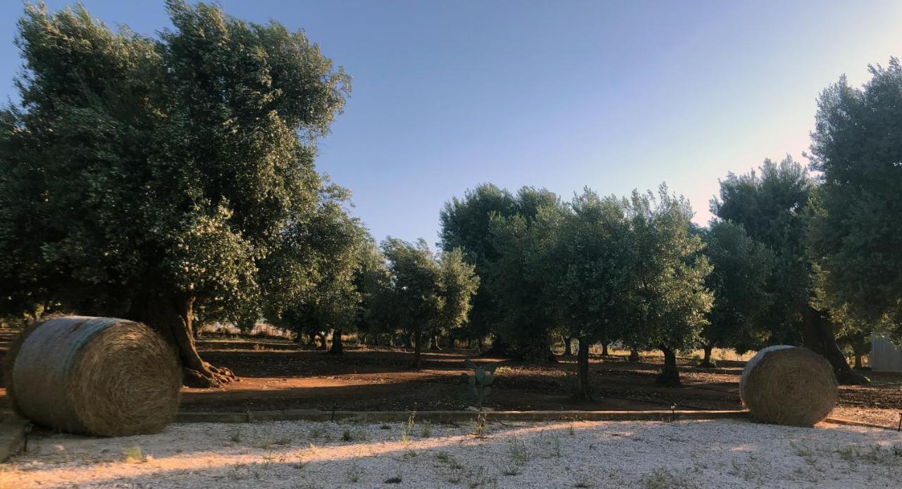 Da Annamare Villa Montalbano  Eksteriør billede